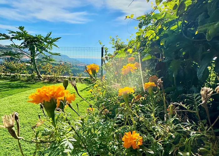 Сasa de vacaciones Hera House, Ponta Do Sol, Portugal