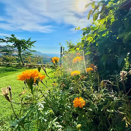 Holiday home Hera House, Ponta Do Sol, Portugal